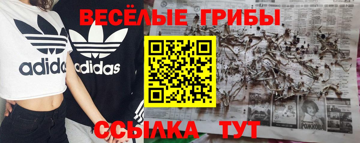 Псилоцибиновые грибы Magic Shrooms Калининград