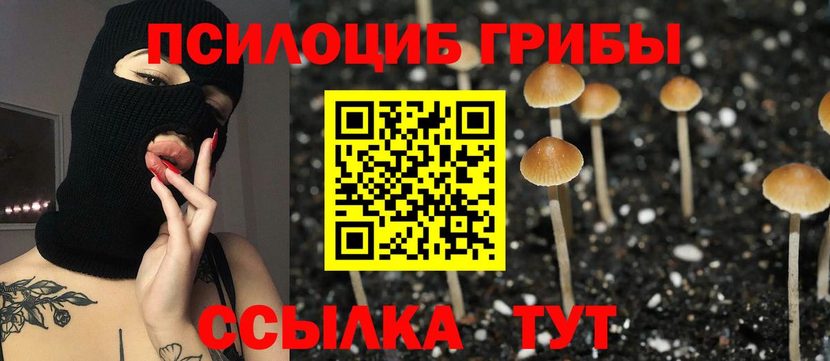 Галлюциногенные грибы Magic Shrooms  Вход с VPN  Псилоцибиновые грибы прущие грибы  Калининград 